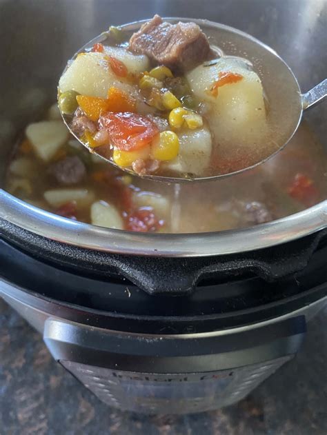 Instant Pot Vegetable Beef Soup – Melanie Cooks