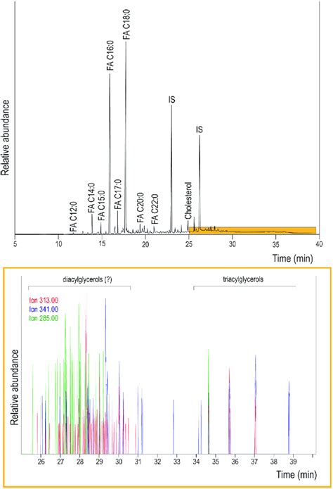 Partial Total Ion Chromatogram Obtained By Gc Ms Analysis Of The