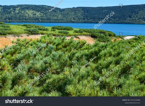 Nature Kunashir Island Kuril Islands Area Stock Photo 2213216909 ...