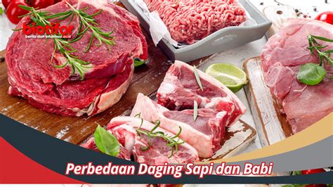 Perbedaan Daging Sapi Dan Babi Kenali Ciri Cirinya