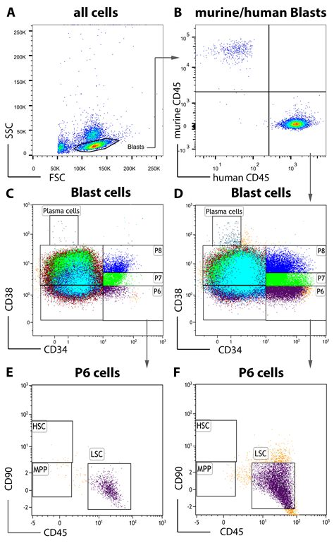 Flow Cytometry To Estimate Leukemia Stem Cells In Primary Acute Myeloid Leukemia And In Patient