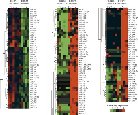 Dicer1 Mutations In Familial Multinodular Goiter With And Without