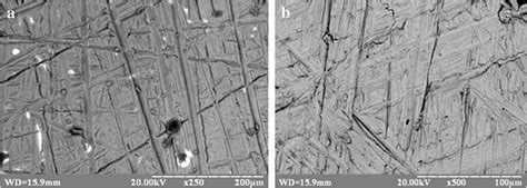 Sem Images Of Ti Al V A And Ti Zr Nb B Alloy Oxidized Surfaces