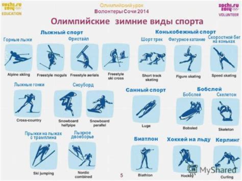Какие бывают горные лыжи | УМКА — ледовый каток в Одессе