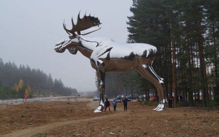 Norway seeking ‘moose truce’ in battle for world’s tallest moose ...