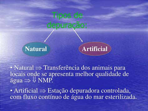 O Que Significa Depuração - PPT - Depuração PowerPoint Presentation, free download - ID:877918