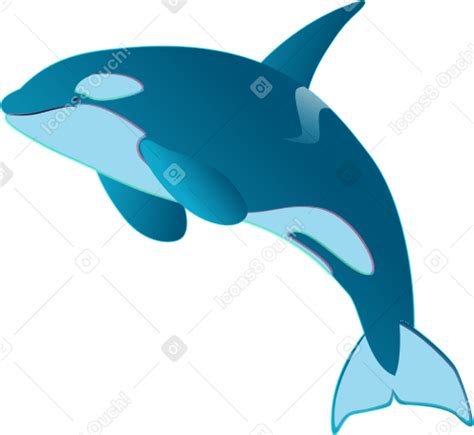 Jumping orca PNG, SVG