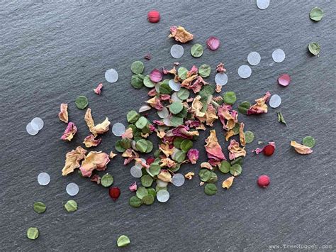 Make Eco Friendly Confetti Out Of Plants