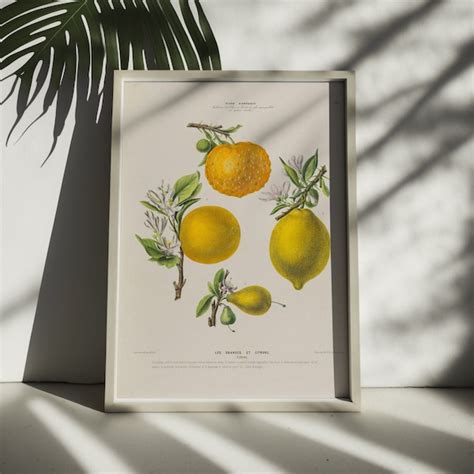 Citrus Print Etsy