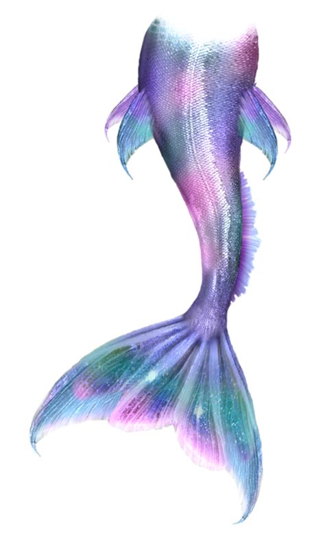 Mermaid Tails Png Clip Art Library