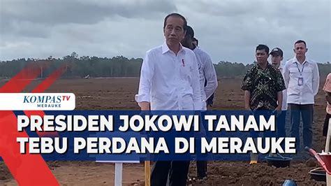 Presiden Jokowi Tanam Tebu Perdana Di Merauke YouTube