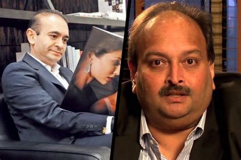 Pnb Fraud Case Exclusive Details On How Mehul Choksi Siphoned Off Rs