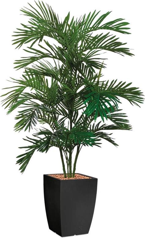 Htt Kunstplant Areca Palm In Genesis Vierkant Antraciet H Cm Bol