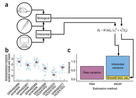 Differential Expression Of Transcripts Using Sleuth Introduction To