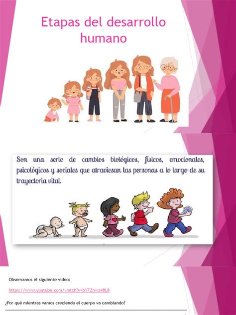 Etapas Del Desarrollo Humano Prenatal Pdf