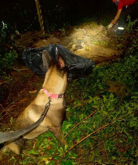 Caso Julieta Hernández Imagens Mostram Onde Corpo Foi Encontrado Por