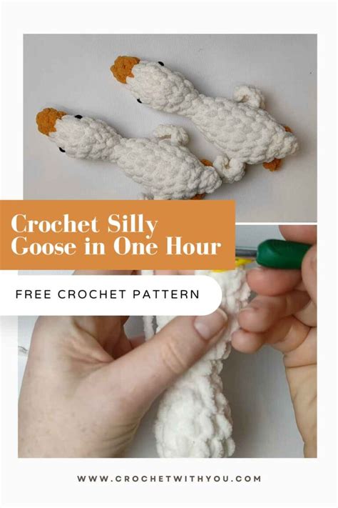 Crochet Silly Goose In One Hour