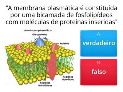 Membrana Plasm Tica Recursos De Ensino