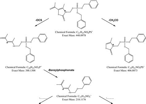 Proposed Fragmentation Pathway For Compound 8 Download Scientific Diagram