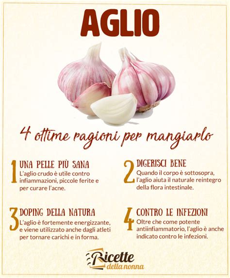 Aglio proprietà benefici e controindicazioni Ricette della Nonna