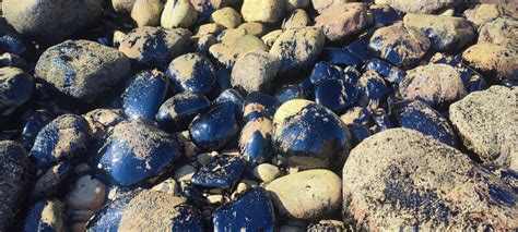 Por Enésima Ocasión Pemex Contamina Con Aguas Negras La Playa “la Ventosa” En Salina Cruz