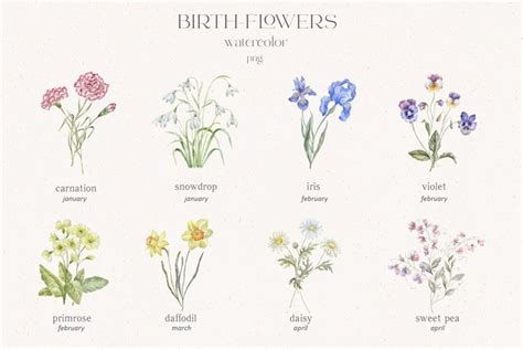 Watercolor Birth-Flowers.