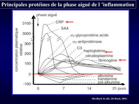 Ppt La Reaction Inflammatoire Illustrations Powerpoint Presentation