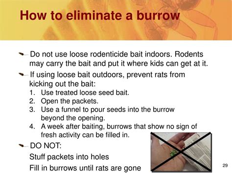 Ppt Rodents Powerpoint Presentation Free Download Id5654611