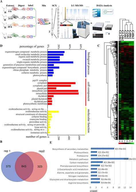 Overview Of Protein Identification From Multiple Proteome Analyses Of