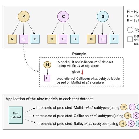 Overview On The Pdac Molecular Subtypes Download Scientific Diagram