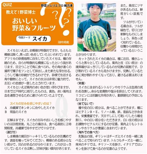 2023年8月24日 神奈川新聞「イマカナ」定期連載 51 スイカ｜新着情報｜みなとの野菜大辞典