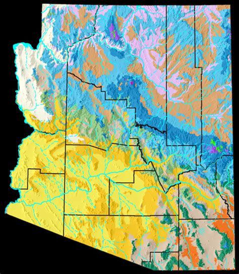 The Reptiles and Amphibians of Arizona