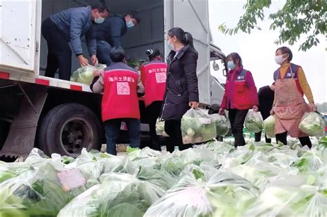 重庆渝北：劳动模范为封控居民送上10万斤新鲜蔬菜 国际在线