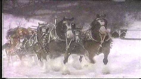 Budweiser Clydesdales Christmas Commercials