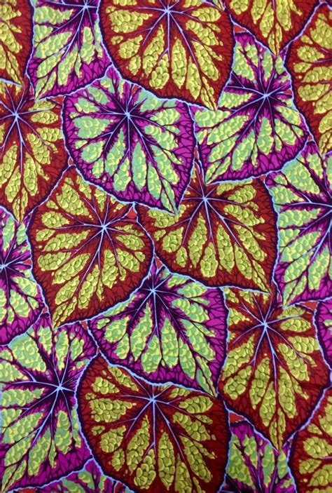 Philip Jacobs Begonia Leaves Magenta Kaffe Collective Oop Etsy Begonia Leaves Begonia Fabric