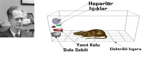 Edimsel Operant Koşullanma SKİNNER