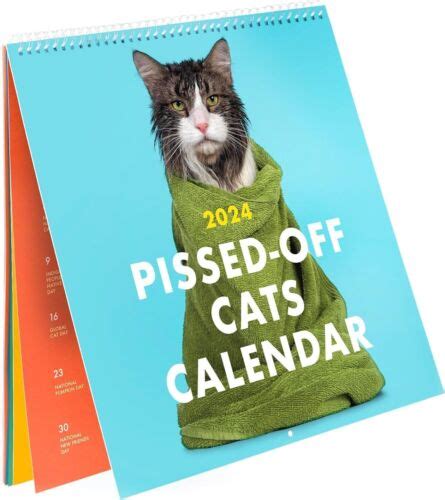 Pissed Off Cats Calendar Funny Cat Wall Calendar Ebay