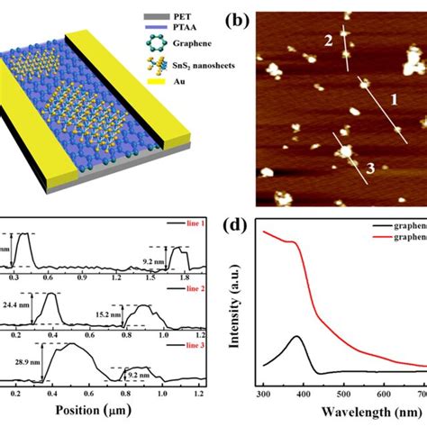 Characterization Of Graphene Ptaa Sns2 Nanosheet Hybrids A Schematic