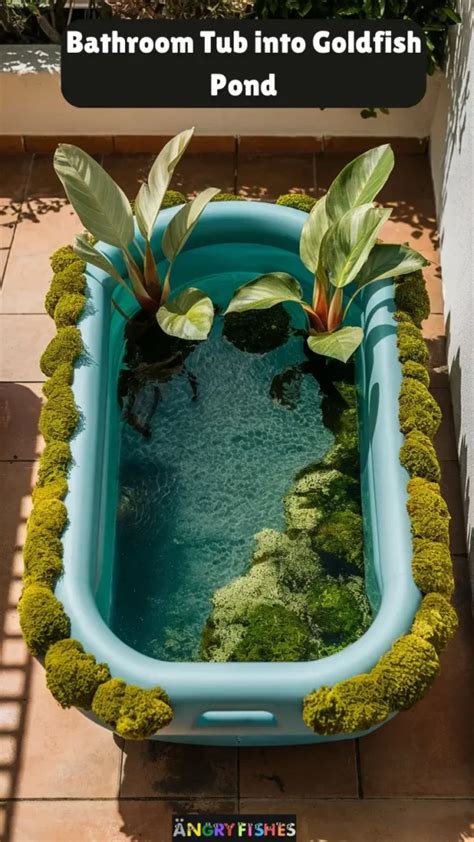 GoldFish Backyard Pond Ideas 2024 With Pictures AngryFishes