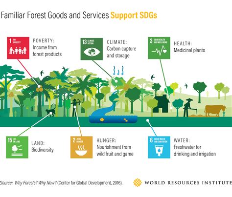 Forests And Sdgs Taking A Second Look World Resources Institute