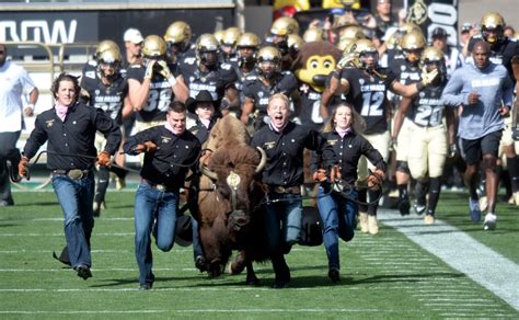 CU Boulder: Buff's live mascot Ralphie V retiring