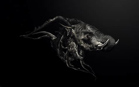 Dark Animal Wallpapers 4k Hd Dark Animal Backgrounds On Wallpaperbat