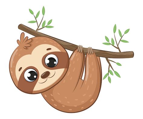 Premium Vector Cute Sloth Hanging On A Tree Branch Cartoon