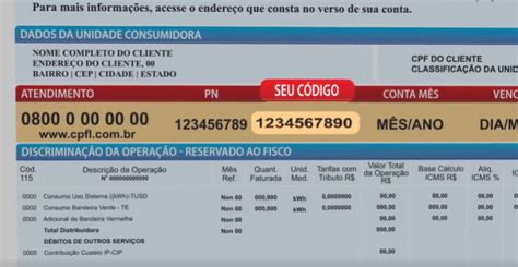 Cpfl Via Da Conta De Energia Confira O Passo A Passo Cashme