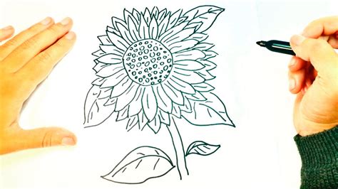 C Mo Dibujar Un Girasol Paso A Paso Dibujo F Cil De Girasol Youtube