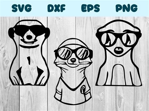 Erdmännchen mit Brille Svg Erdmännchen Tragen Sonnenbrille Png Etsy de