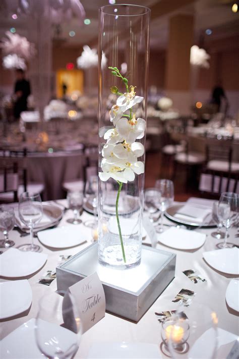 Orchid Centerpiece In Glass Cylinder Simple And Beautiful Ive Made Lightboxes For Cheap I