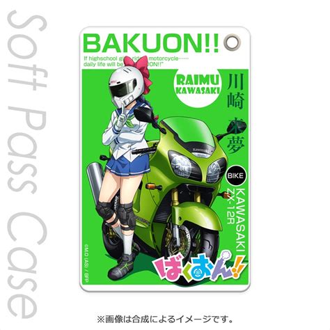 Bakuon Soft Pass Holder Raimu Kawasaki HLJ