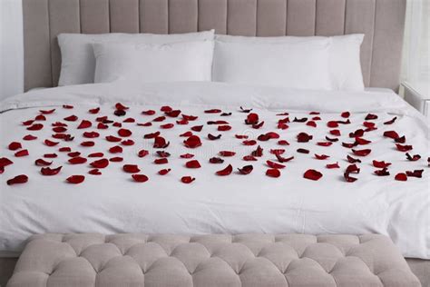 Beautiful Red Rose Petals on Bed in Room Stock Photo - Image of ...