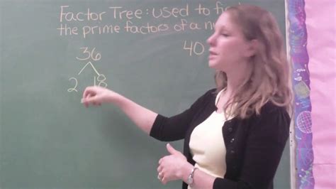 Factor Trees Tutorial Sophia Learning